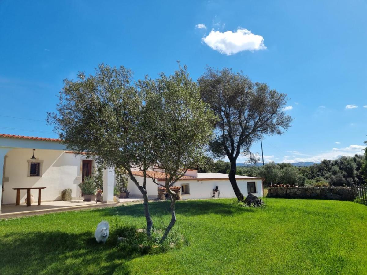 Lu Antu Alloggi Agrituristici Arzachena Exterior photo