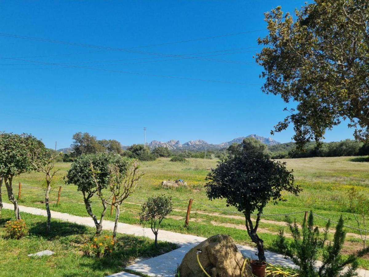 Lu Antu Alloggi Agrituristici Arzachena Exterior photo